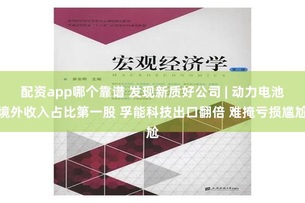 配资app哪个靠谱 发现新质好公司 | 动力电池境外收入占比第一股 孚能科技出口翻倍 难掩亏损尴尬