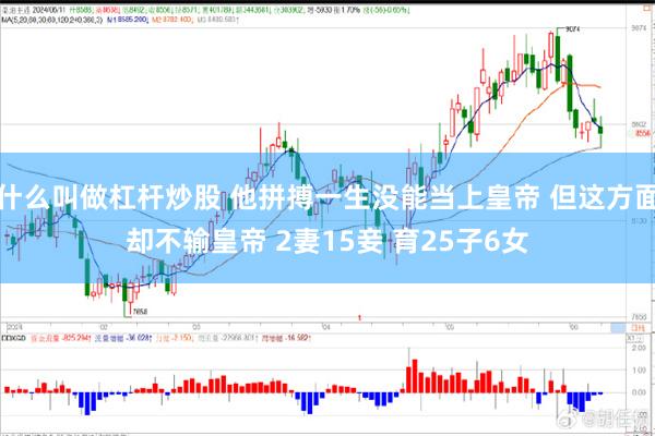 什么叫做杠杆炒股 他拼搏一生没能当上皇帝 但这方面却不输皇帝 2妻15妾 育25子6女