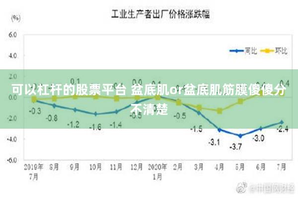 可以杠杆的股票平台 盆底肌or盆底肌筋膜傻傻分不清楚