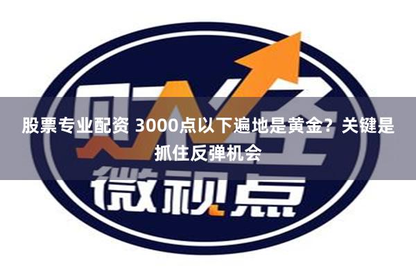 股票专业配资 3000点以下遍地是黄金？关键是抓住反弹机会