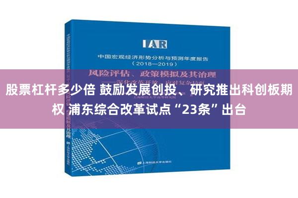 股票杠杆多少倍 鼓励发展创投、研究推出科创板期权 浦东综合改革试点“23条”出台