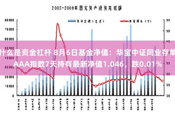 什么是资金杠杆 8月6日基金净值：华宝中证同业存单AAA指数7天持有最新净值1.046，跌0.01%