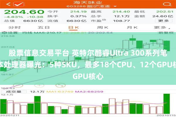 股票信息交易平台 英特尔酷睿Ultra 300系列笔记本处理器曝光：5种SKU，最多18个CPU、12个GPU核心