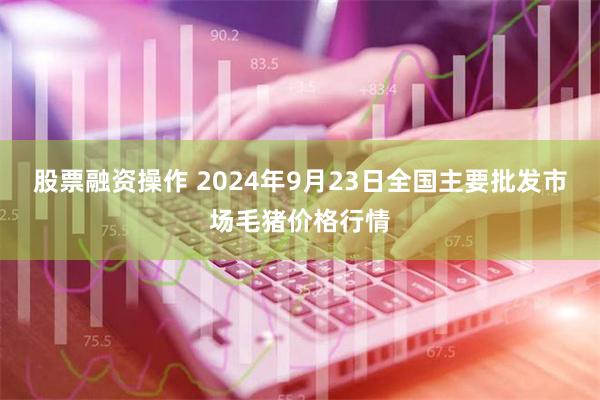 股票融资操作 2024年9月23日全国主要批发市场毛猪价格行情