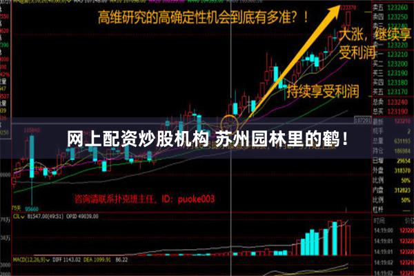 网上配资炒股机构 苏州园林里的鹤！