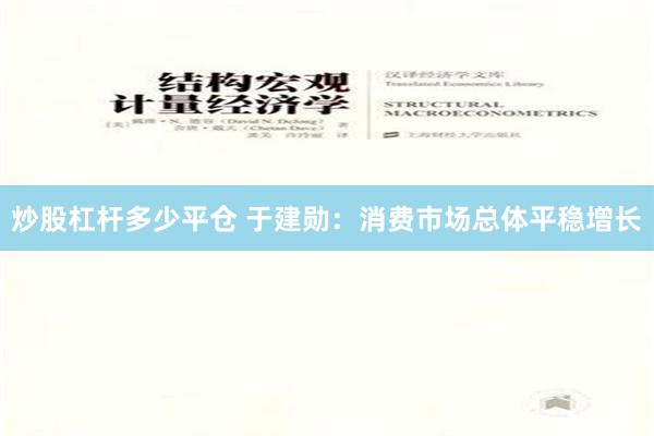 炒股杠杆多少平仓 于建勋：消费市场总体平稳增长