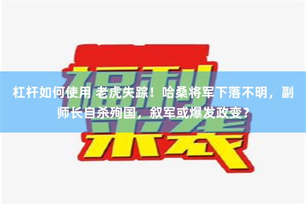 杠杆如何使用 老虎失踪！哈桑将军下落不明，副师长自杀殉国，叙军或爆发政变？