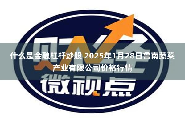 什么是金融杠杆炒股 2025年1月28日鲁南蔬菜产业有限公司价格行情